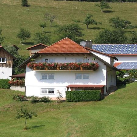 Ferienwohnung Burgblick Seelbach (Baden-Wurttemberg) Exterior foto