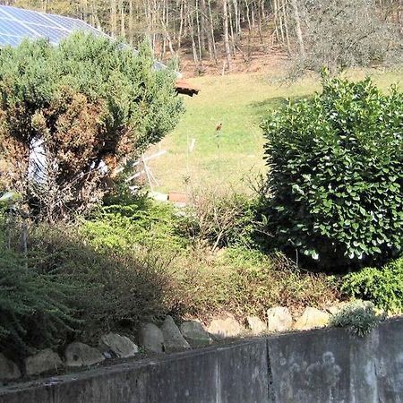 Ferienwohnung Burgblick Seelbach (Baden-Wurttemberg) Exterior foto