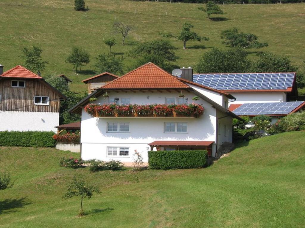 Ferienwohnung Burgblick Seelbach (Baden-Wurttemberg) Exterior foto