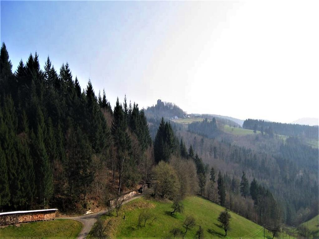 Ferienwohnung Burgblick Seelbach (Baden-Wurttemberg) Exterior foto
