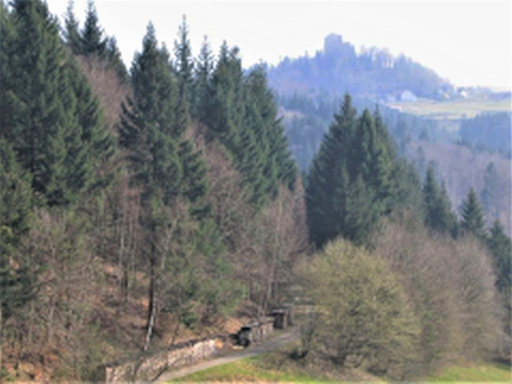 Ferienwohnung Burgblick Seelbach (Baden-Wurttemberg) Exterior foto