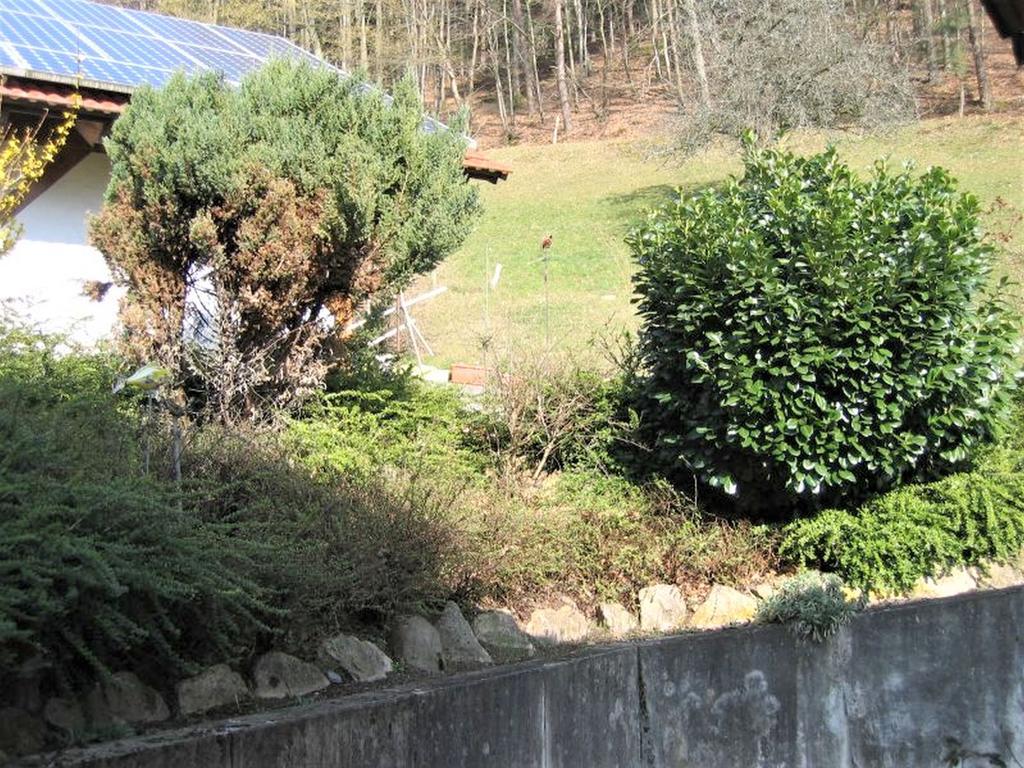 Ferienwohnung Burgblick Seelbach (Baden-Wurttemberg) Exterior foto